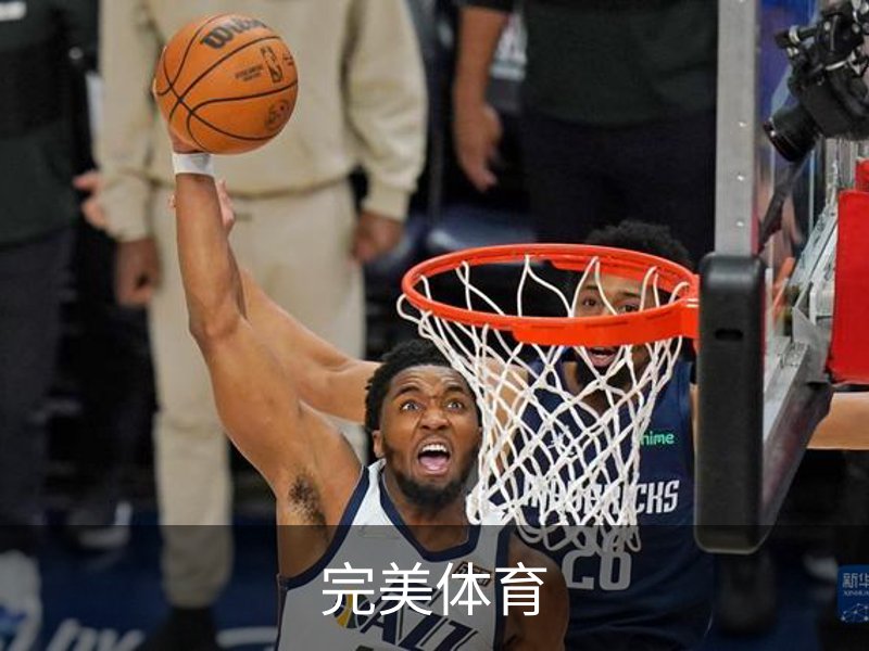 完美体育简介